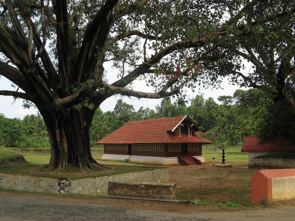 Wayanad Gate Resort Манантавади Екстер'єр фото