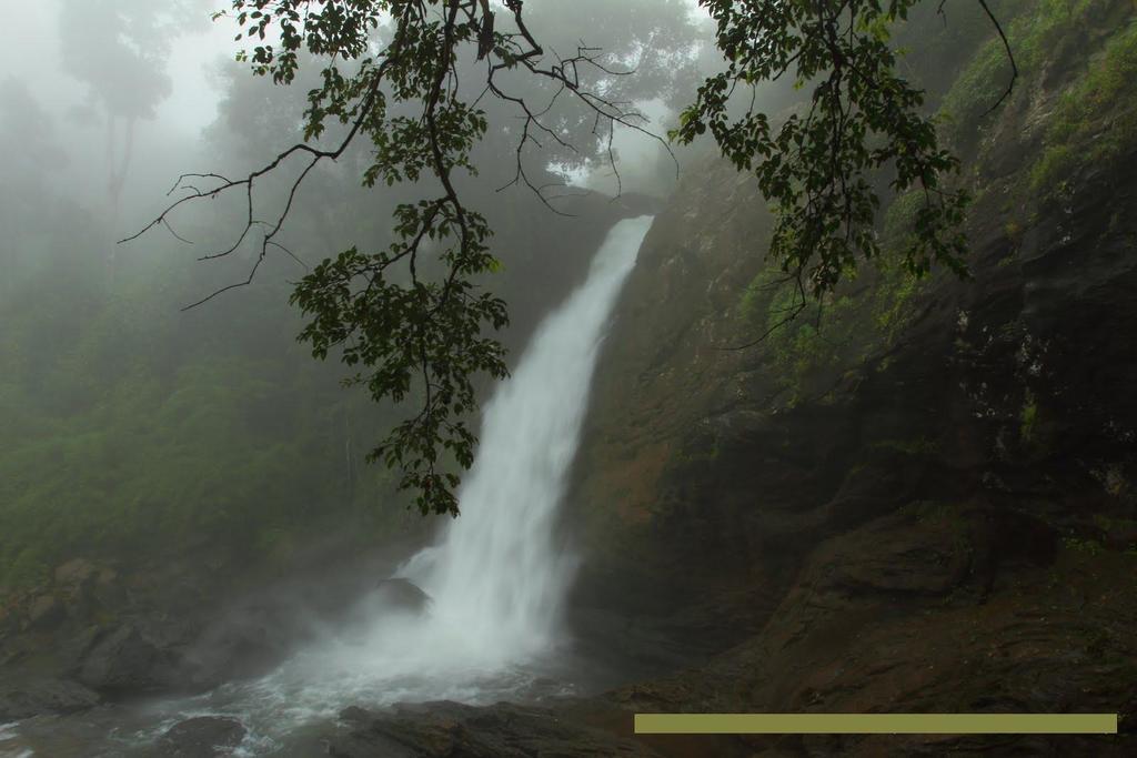 Wayanad Gate Resort Манантавади Екстер'єр фото