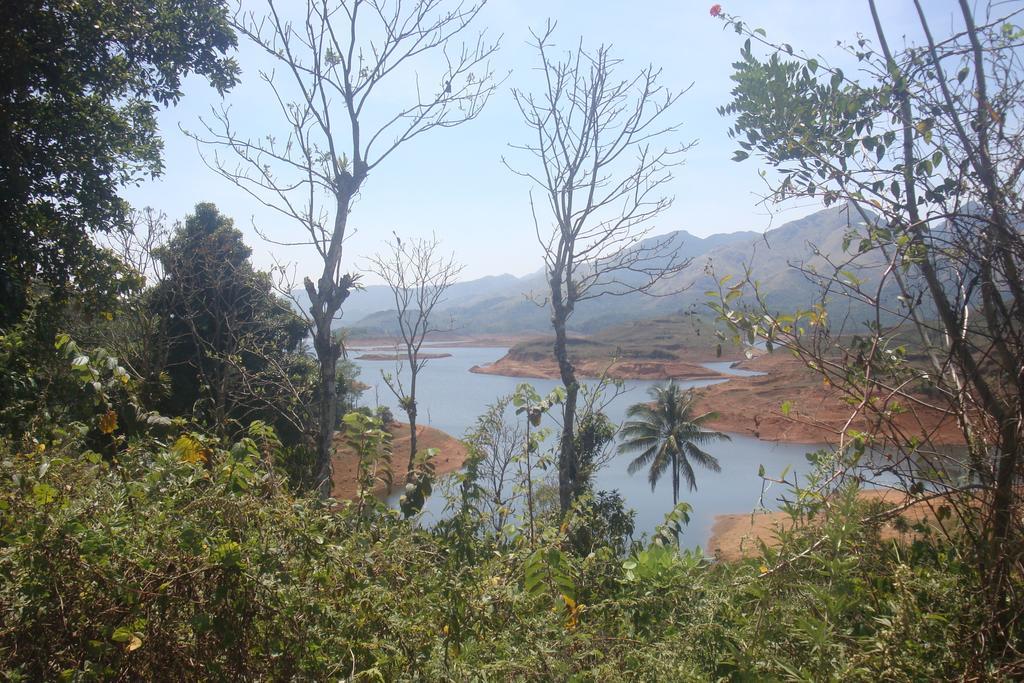 Wayanad Gate Resort Манантавади Екстер'єр фото